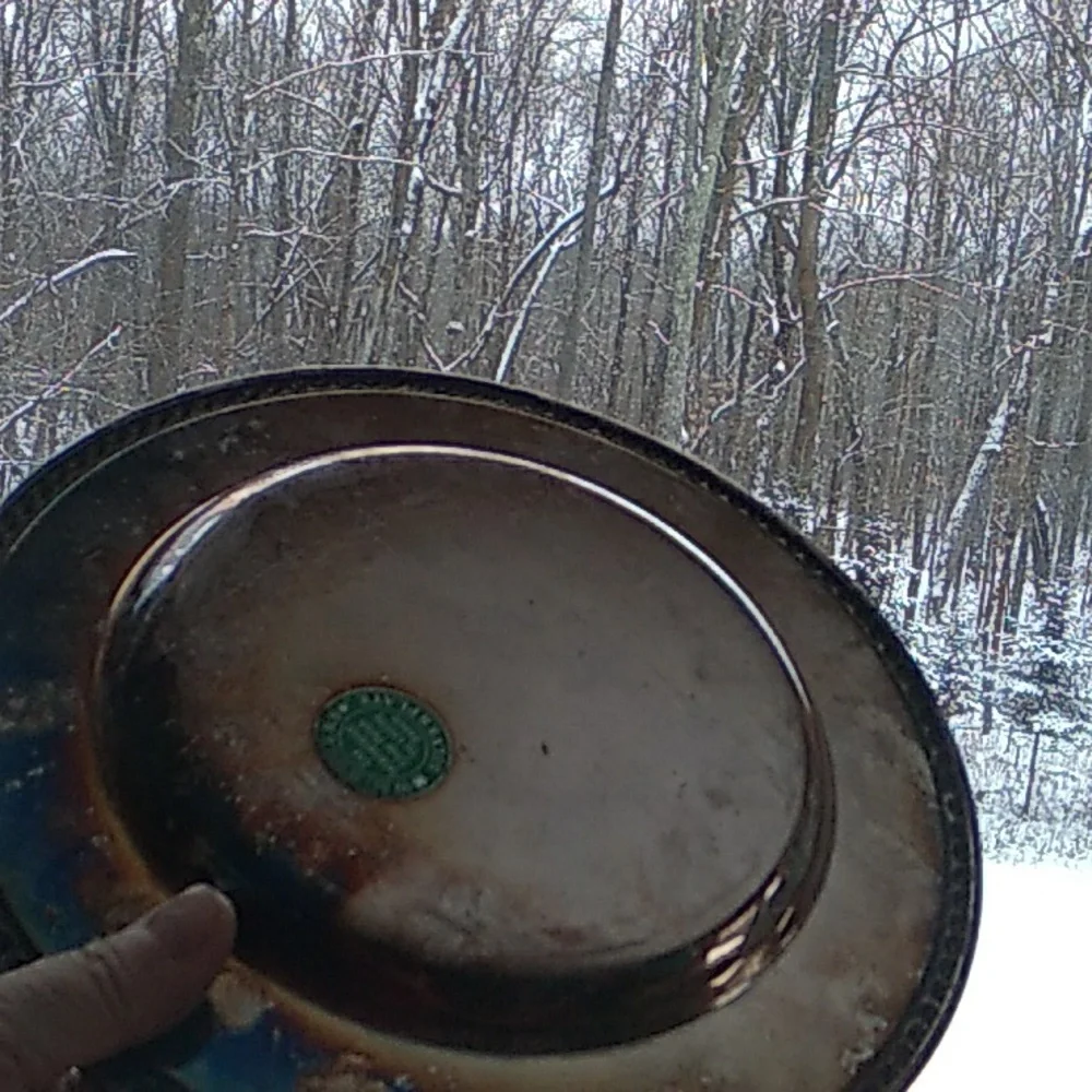 Wm Rogers Platter VINTAGE 10 1/2